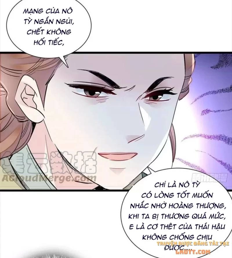Tự Cẩm Chapter 197 - 7