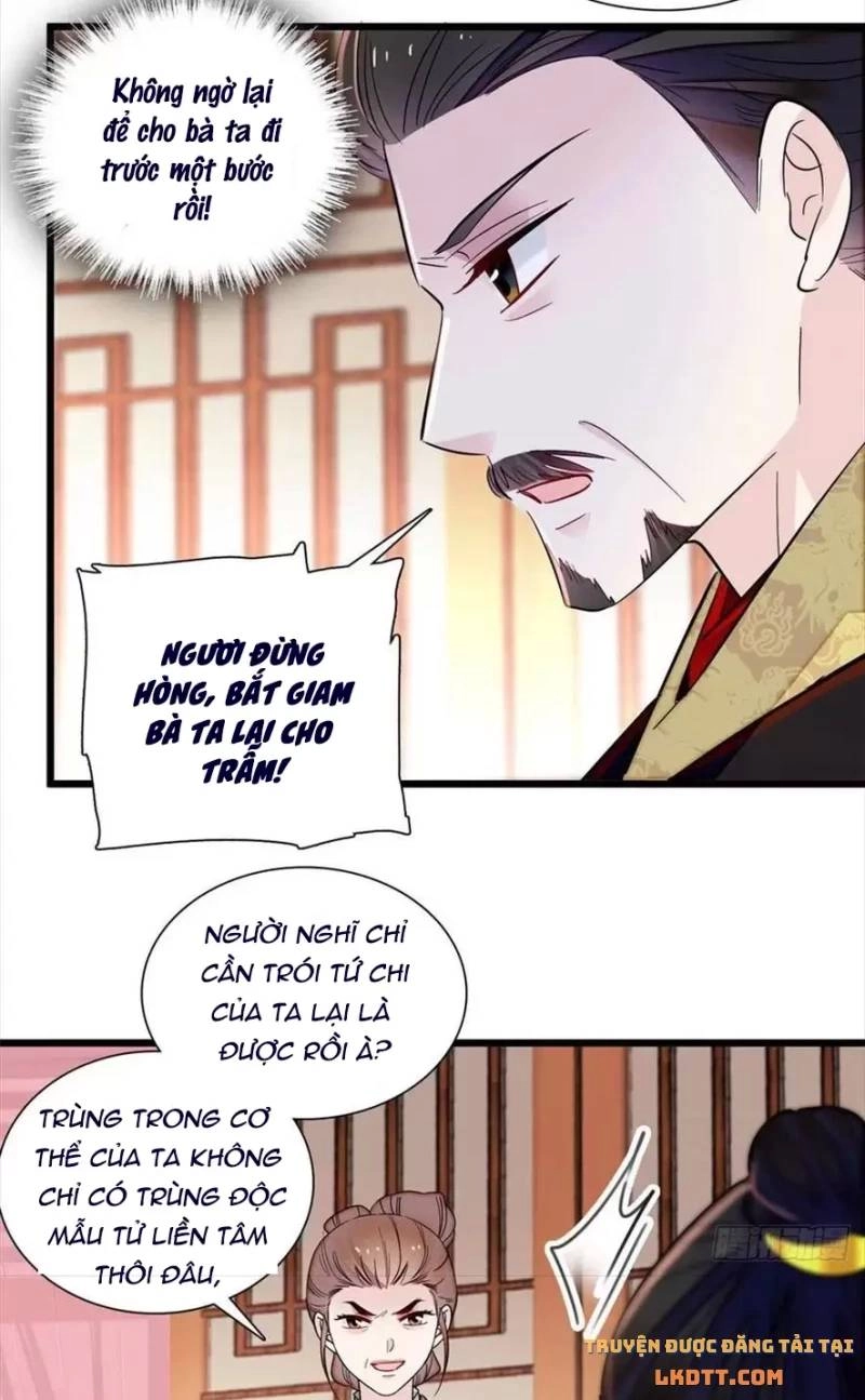 Tự Cẩm Chapter 197 - 8