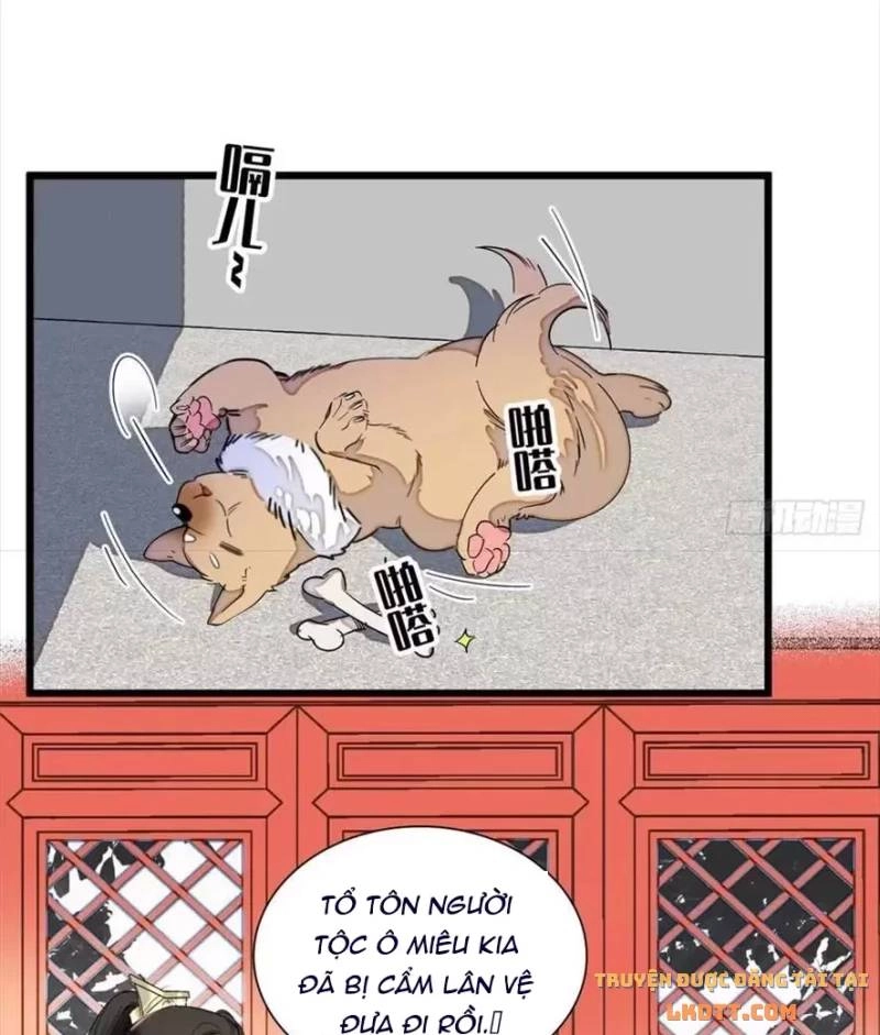 Tự Cẩm Chapter 197 - 19