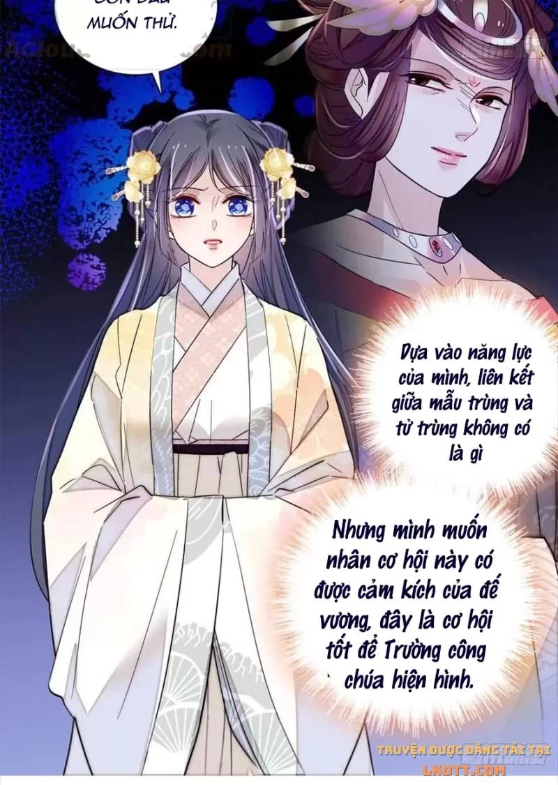 Tự Cẩm Chapter 197 - 38