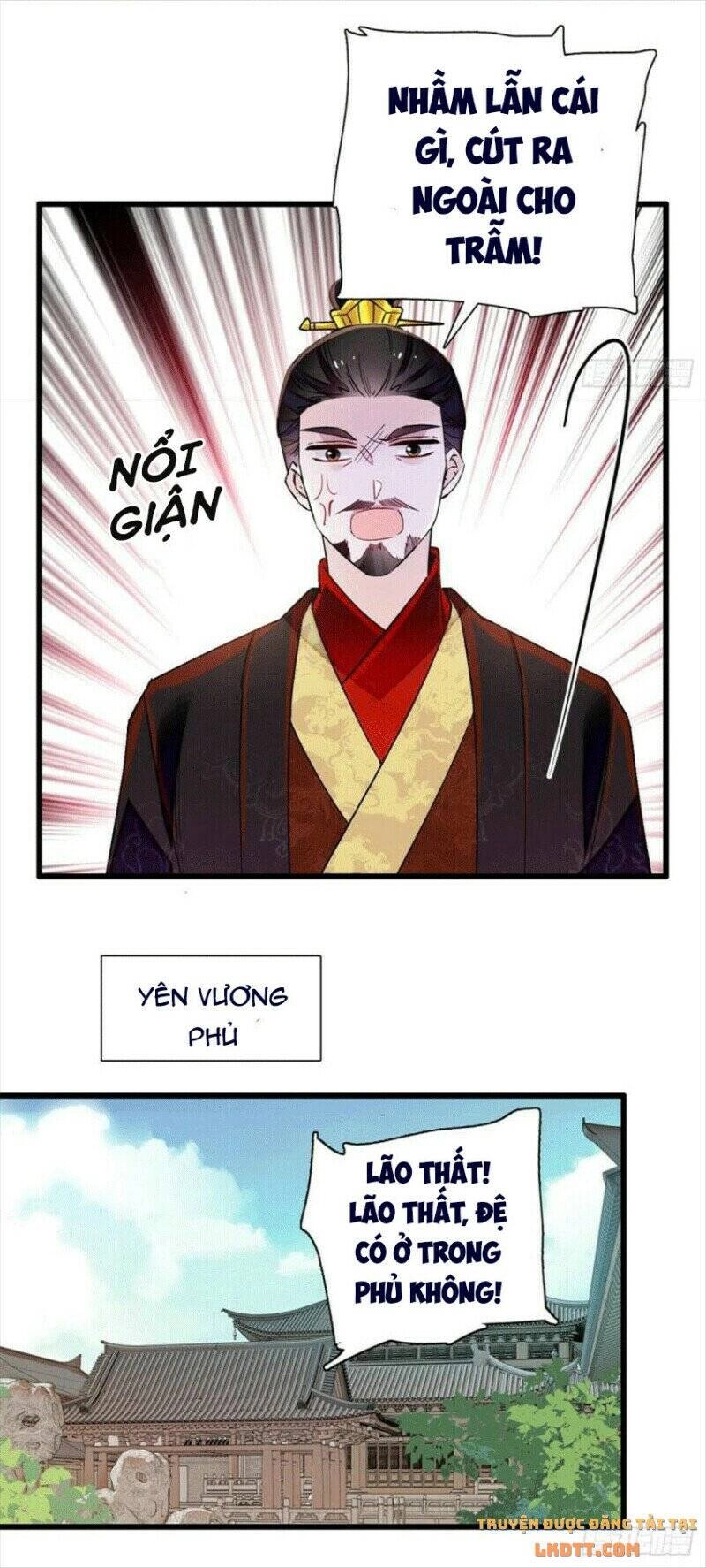 Tự Cẩm Chapter 203 - 14