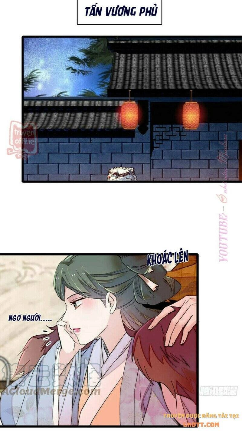 Tự Cẩm Chapter 206 - 19