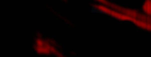 Purple Hyacinth Chapter 28 - 22