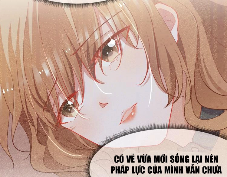 Nghiêm Tuyển Tiên Thê Chapter 23 - 39