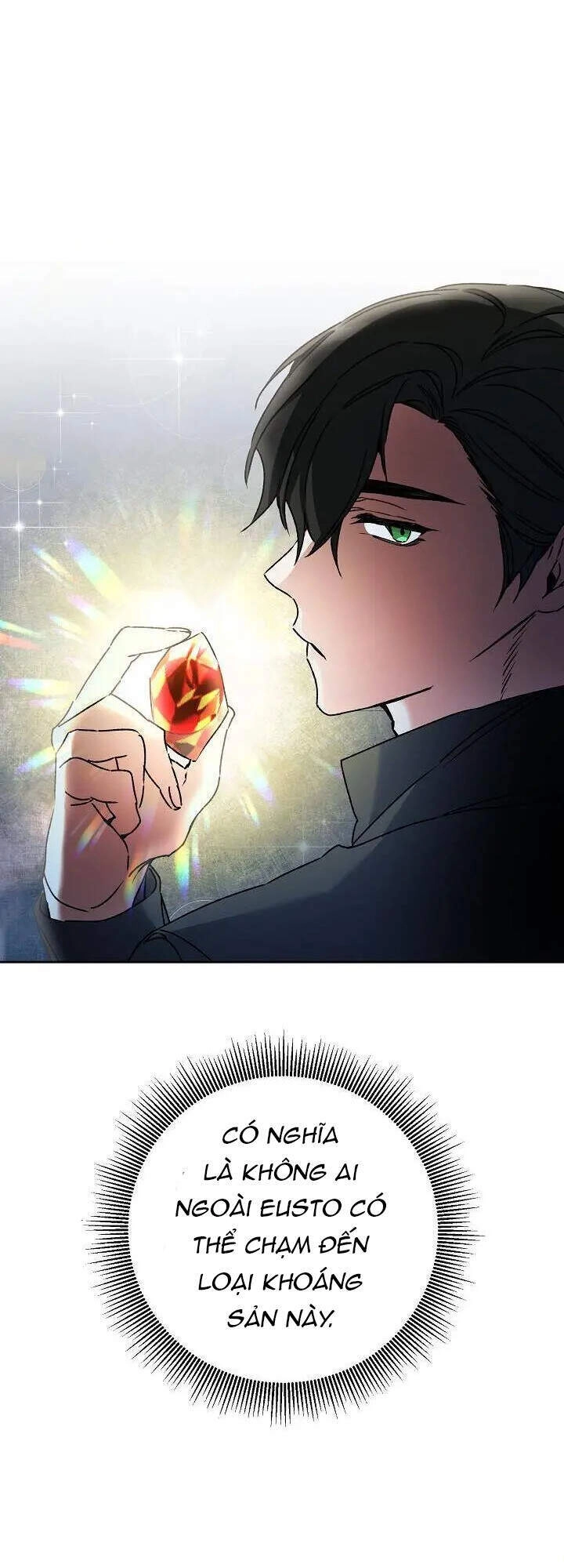 Xuyên Vào Tiểu Thuyết Làm Nữ Hoàng Tàn Độc Chapter 50 - 30