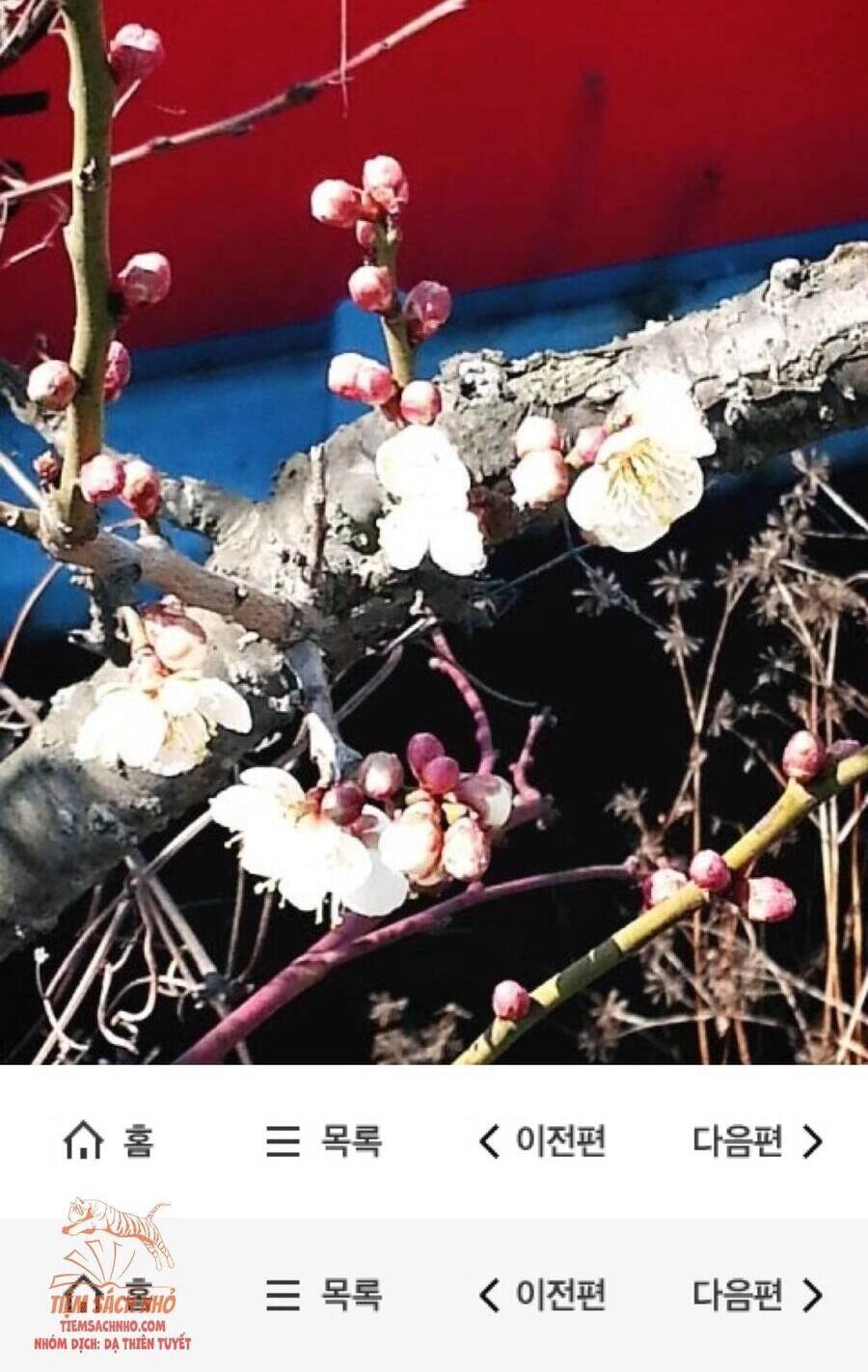 Trở Thành Con Gái Nhân Vật Phản Diện Chapter 42 - 52