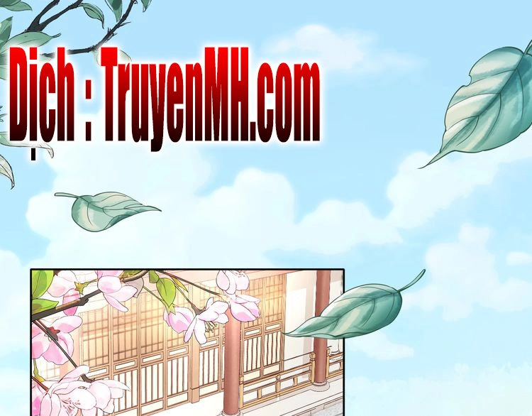 Nhất Sinh Nhất Thế Tiếu Thương Khung Chapter 4 - 2