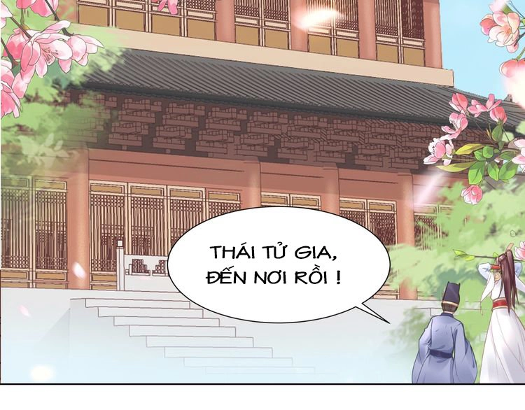 Nhất Sinh Nhất Thế Tiếu Thương Khung Chapter 4 - 32
