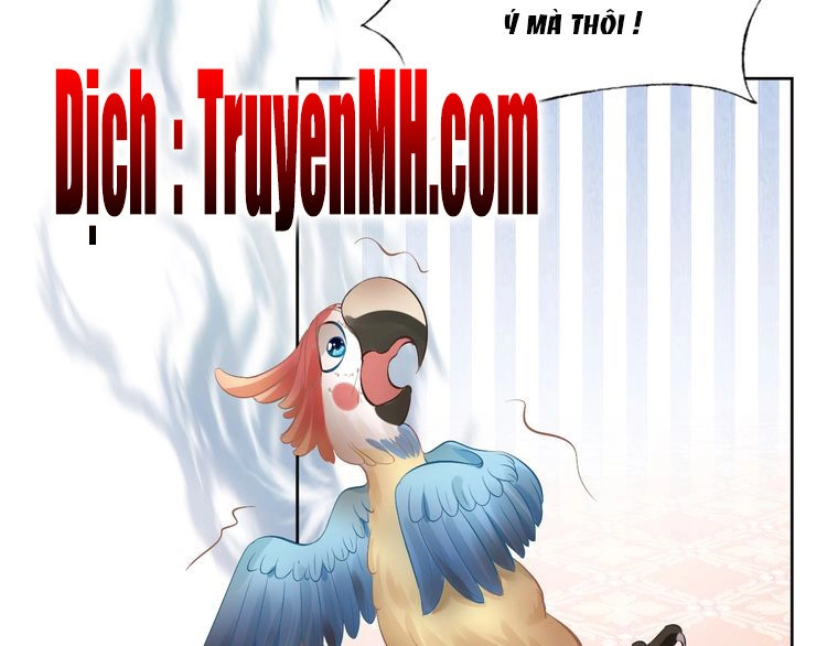 Nhất Sinh Nhất Thế Tiếu Thương Khung Chapter 7 - 21
