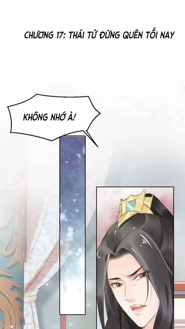 Nhất Sinh Nhất Thế Tiếu Thương Khung Chapter 17 - 1