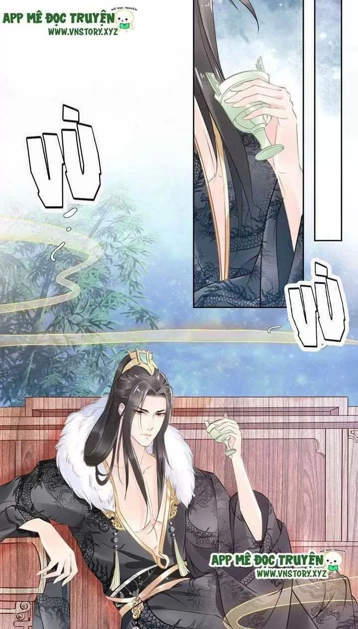 Nhất Sinh Nhất Thế Tiếu Thương Khung Chapter 19 - 28