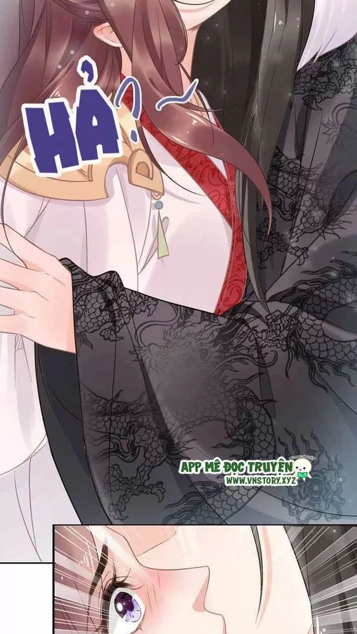 Nhất Sinh Nhất Thế Tiếu Thương Khung Chapter 20 - 14