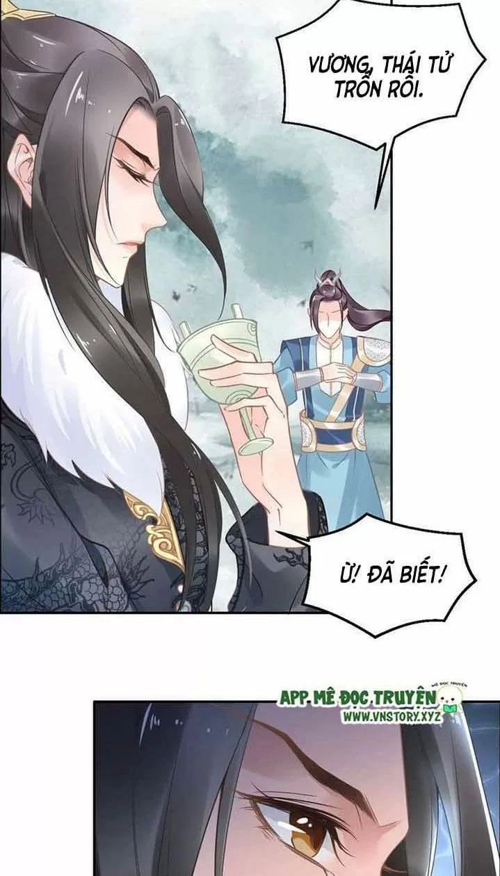 Nhất Sinh Nhất Thế Tiếu Thương Khung Chapter 21 - 12