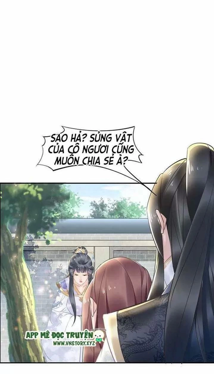 Nhất Sinh Nhất Thế Tiếu Thương Khung Chapter 24 - 17