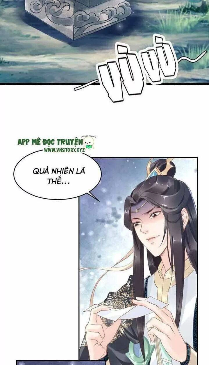 Nhất Sinh Nhất Thế Tiếu Thương Khung Chapter 26 - 35