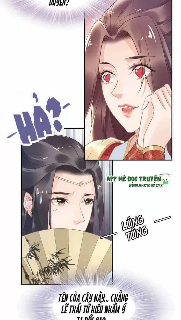 Nhất Sinh Nhất Thế Tiếu Thương Khung Chapter 27 - 33