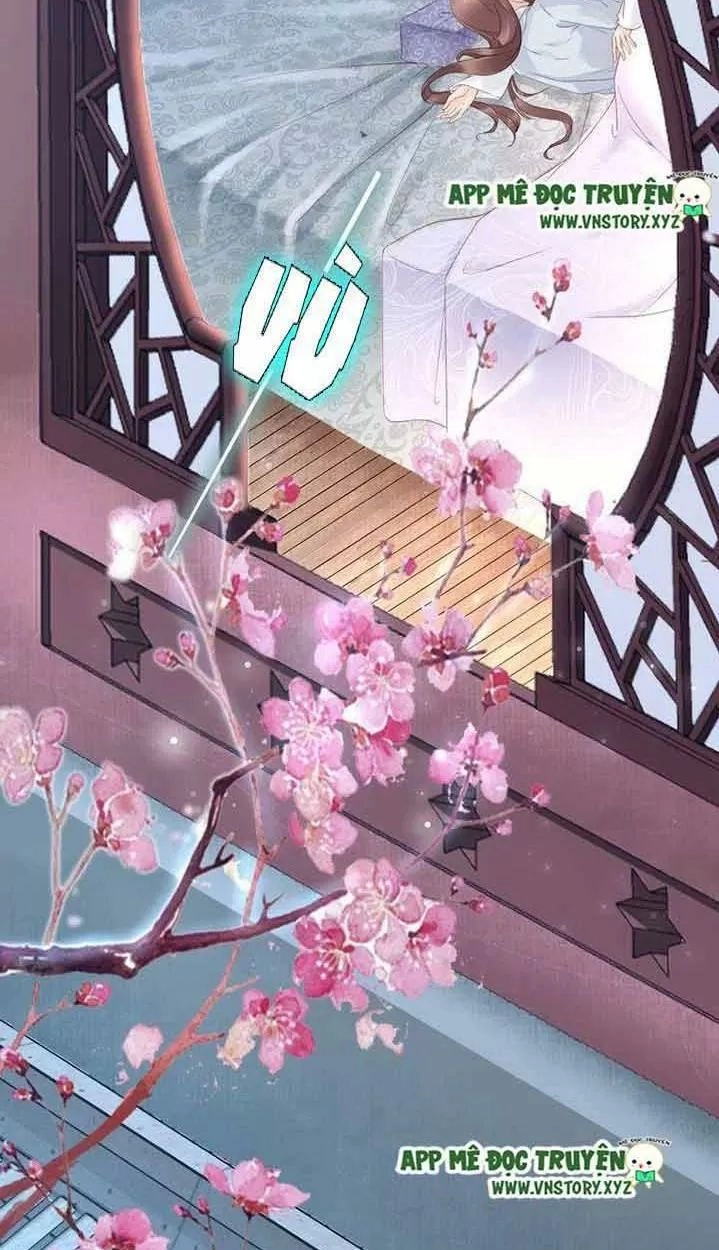 Nhất Sinh Nhất Thế Tiếu Thương Khung Chapter 33 - 13