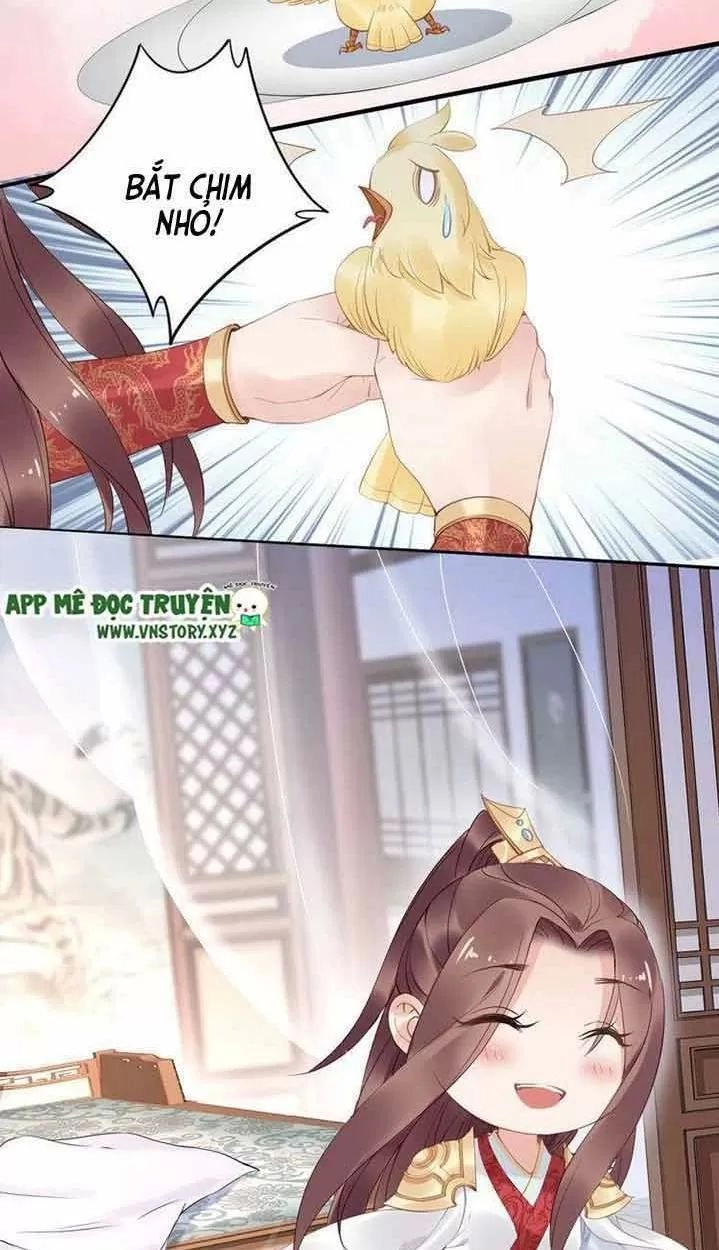 Nhất Sinh Nhất Thế Tiếu Thương Khung Chapter 33 - 23