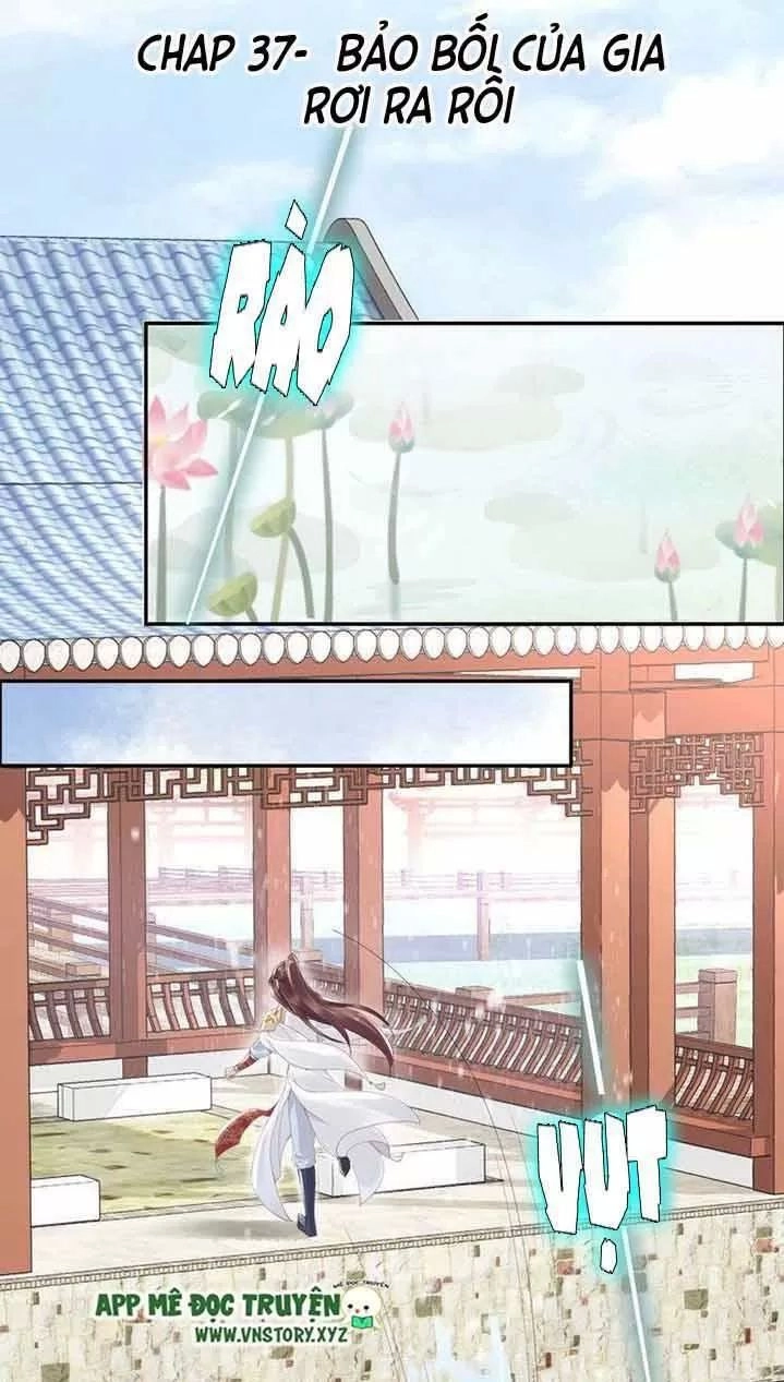 Nhất Sinh Nhất Thế Tiếu Thương Khung Chapter 37 - 1