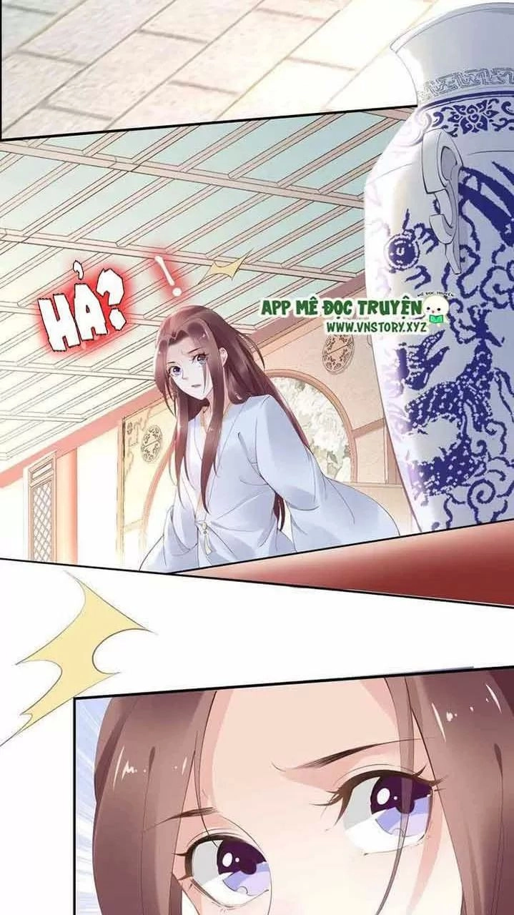 Nhất Sinh Nhất Thế Tiếu Thương Khung Chapter 39 - 5