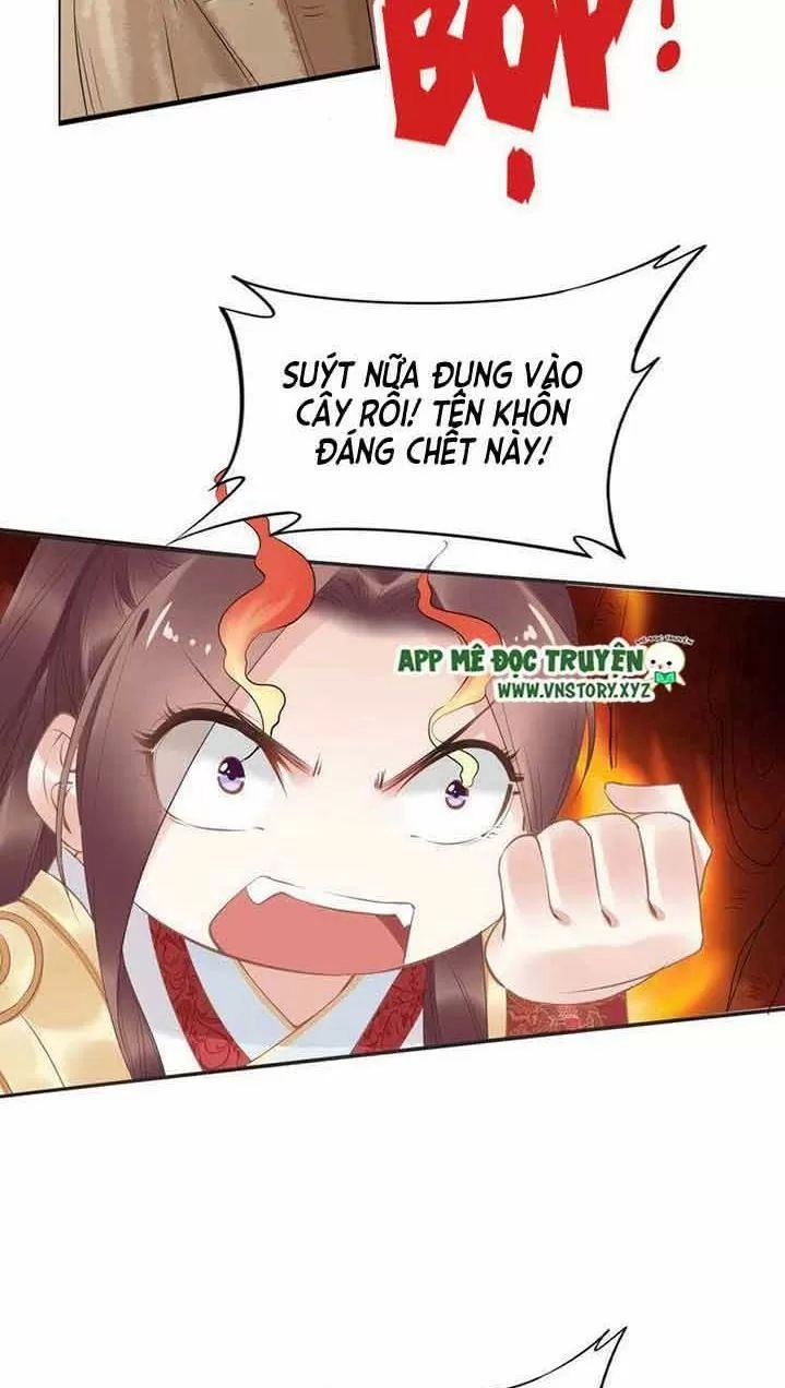 Nhất Sinh Nhất Thế Tiếu Thương Khung Chapter 40 - 32