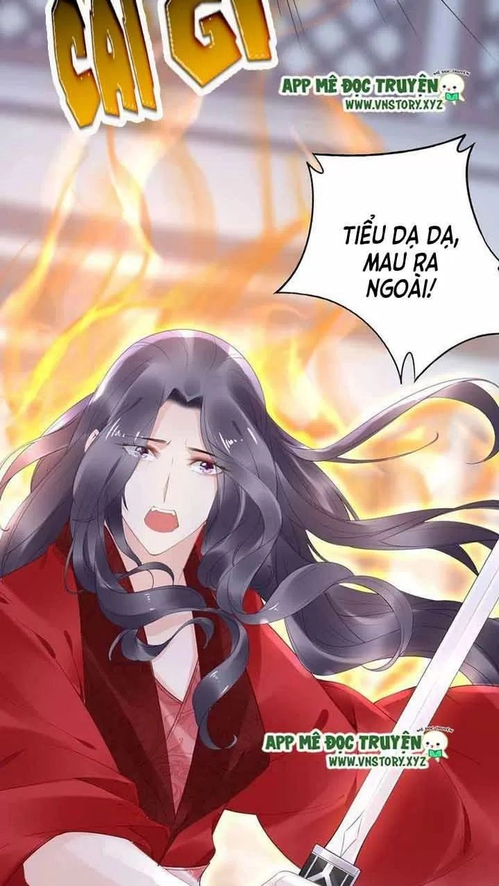 Nhất Sinh Nhất Thế Tiếu Thương Khung Chapter 44 - 3