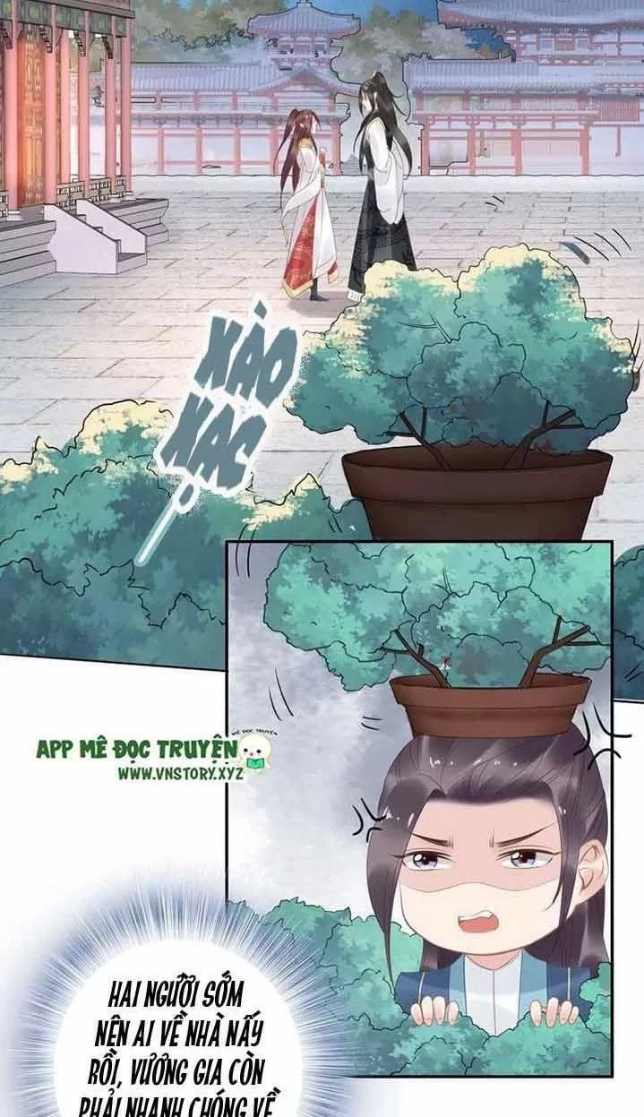 Nhất Sinh Nhất Thế Tiếu Thương Khung Chapter 47 - 25