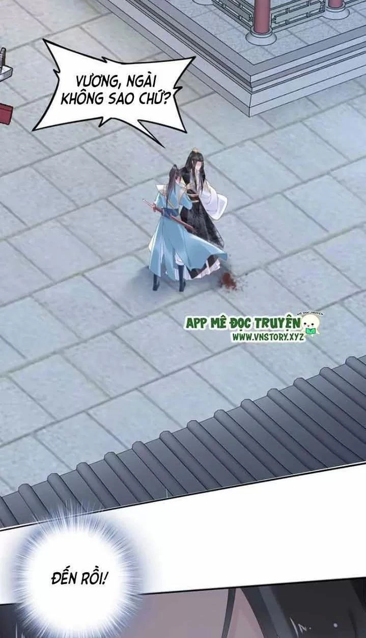 Nhất Sinh Nhất Thế Tiếu Thương Khung Chapter 48 - 2