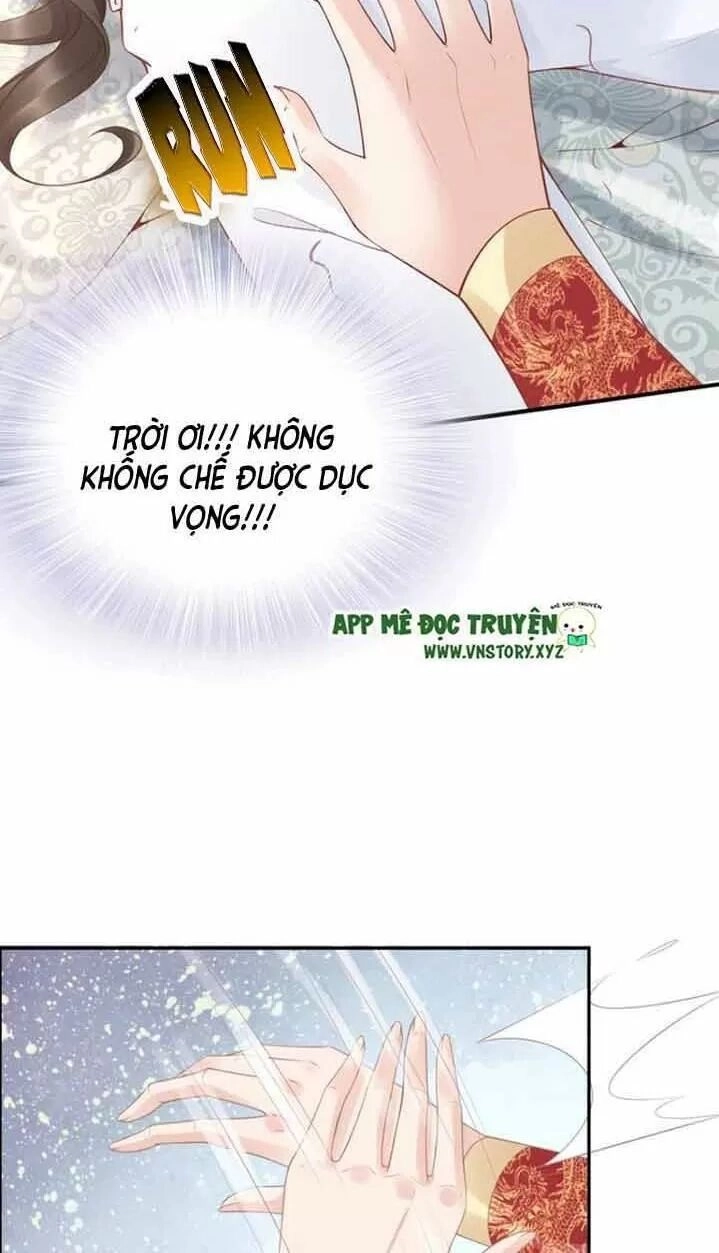 Nhất Sinh Nhất Thế Tiếu Thương Khung Chapter 52 - 10