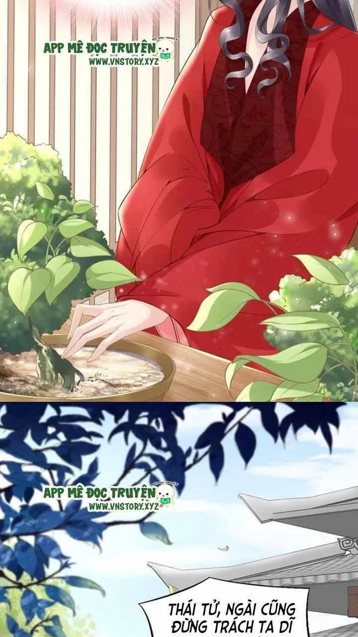 Nhất Sinh Nhất Thế Tiếu Thương Khung Chapter 54 - 29