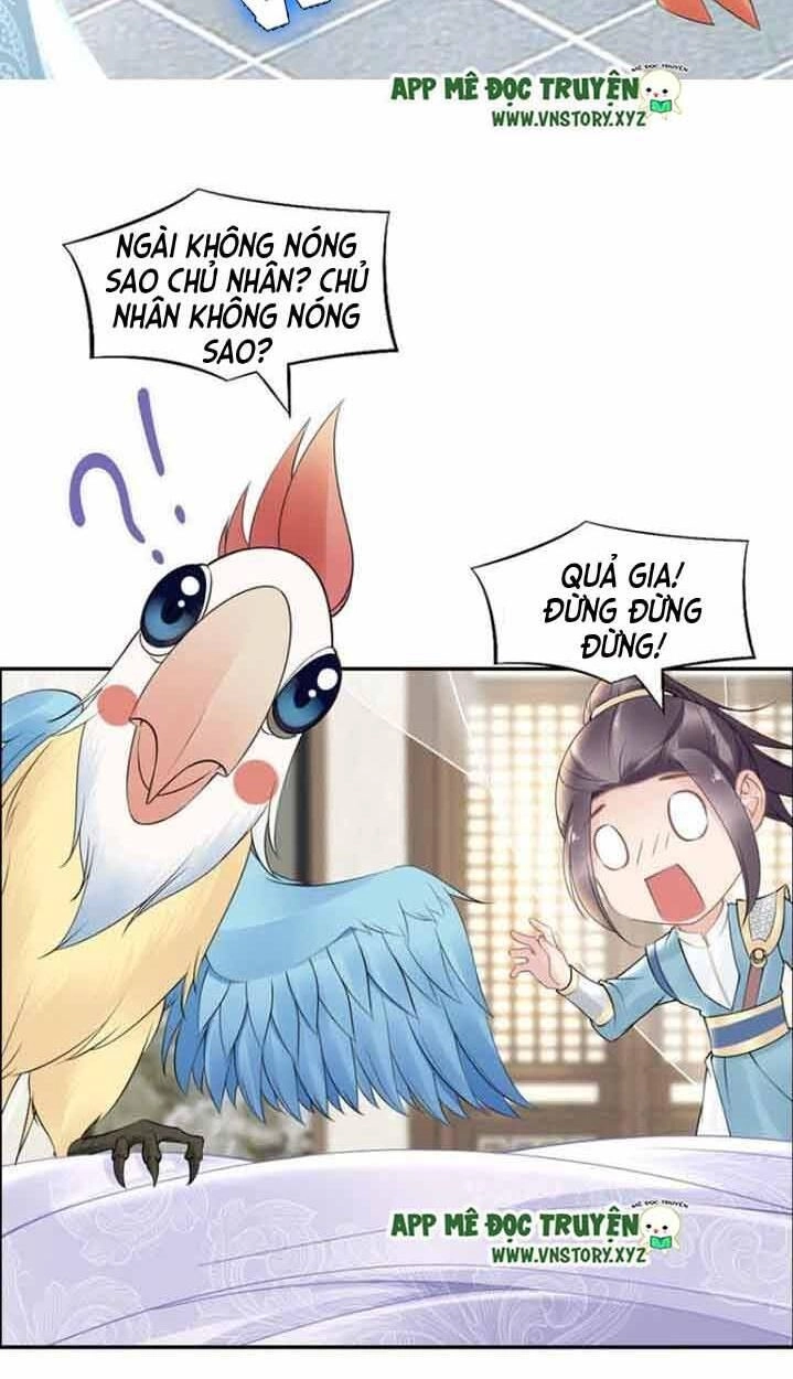 Nhất Sinh Nhất Thế Tiếu Thương Khung Chapter 55 - 31