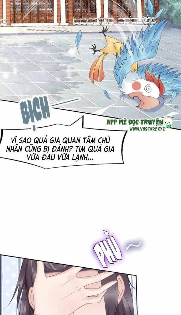 Nhất Sinh Nhất Thế Tiếu Thương Khung Chapter 55 - 33