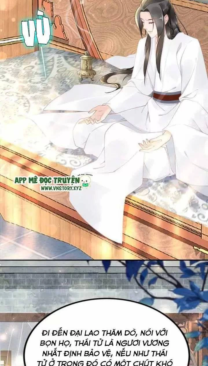 Nhất Sinh Nhất Thế Tiếu Thương Khung Chapter 60 - 24