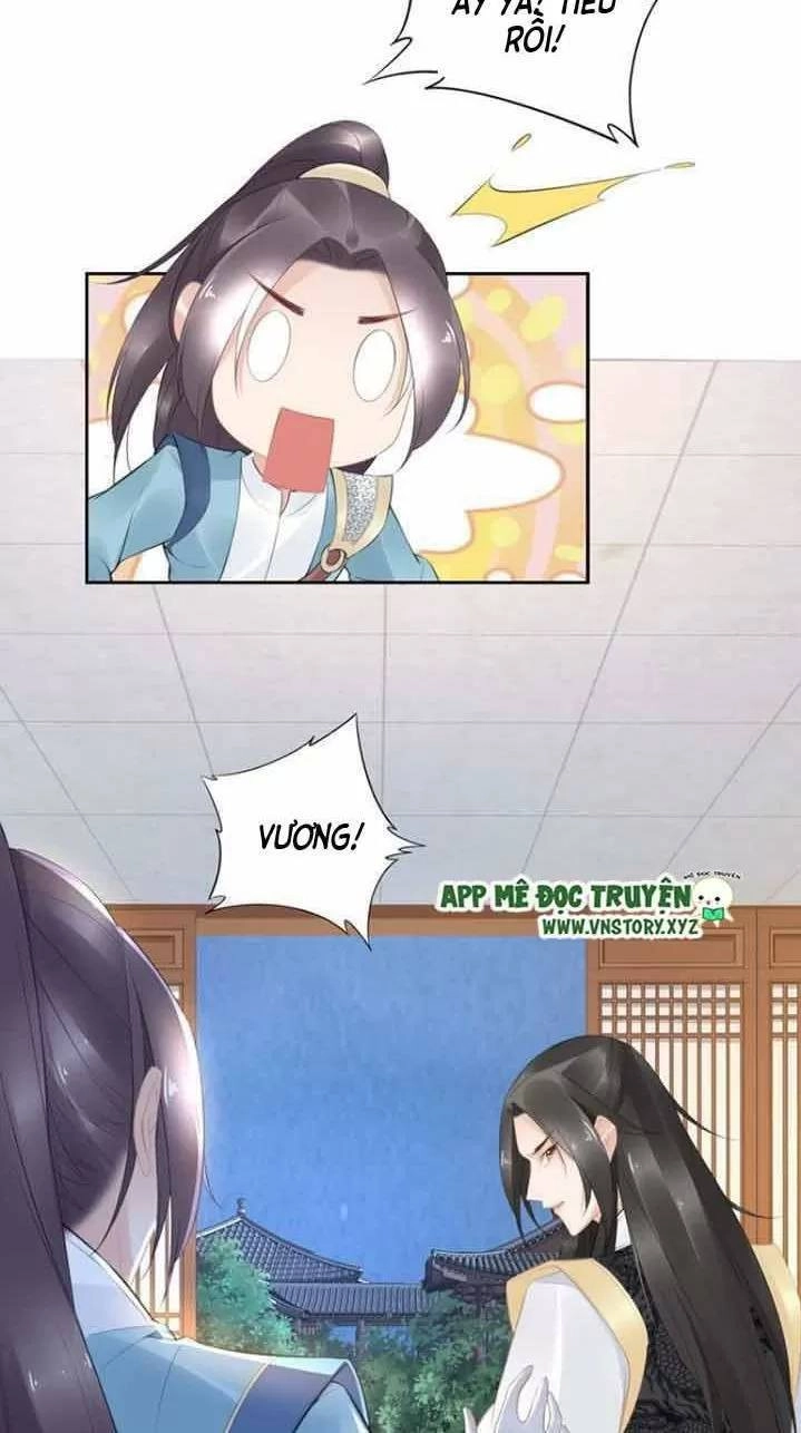 Nhất Sinh Nhất Thế Tiếu Thương Khung Chapter 61 - 9