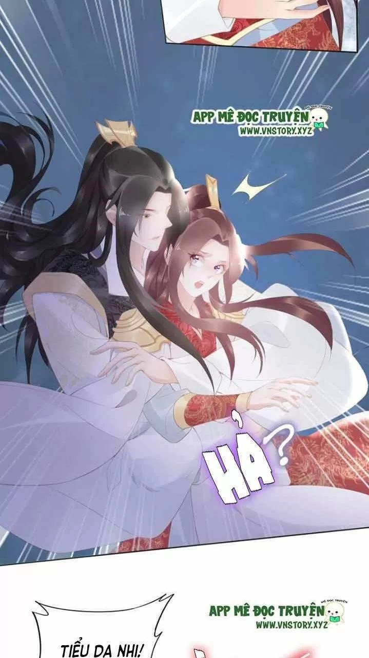 Nhất Sinh Nhất Thế Tiếu Thương Khung Chapter 62 - 15