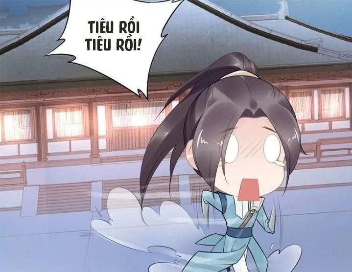 Nhất Sinh Nhất Thế Tiếu Thương Khung Chapter 65 - 31