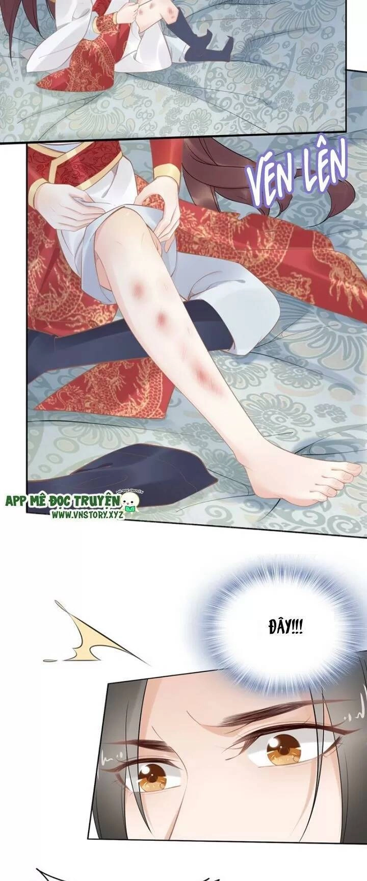 Nhất Sinh Nhất Thế Tiếu Thương Khung Chapter 68 - 8