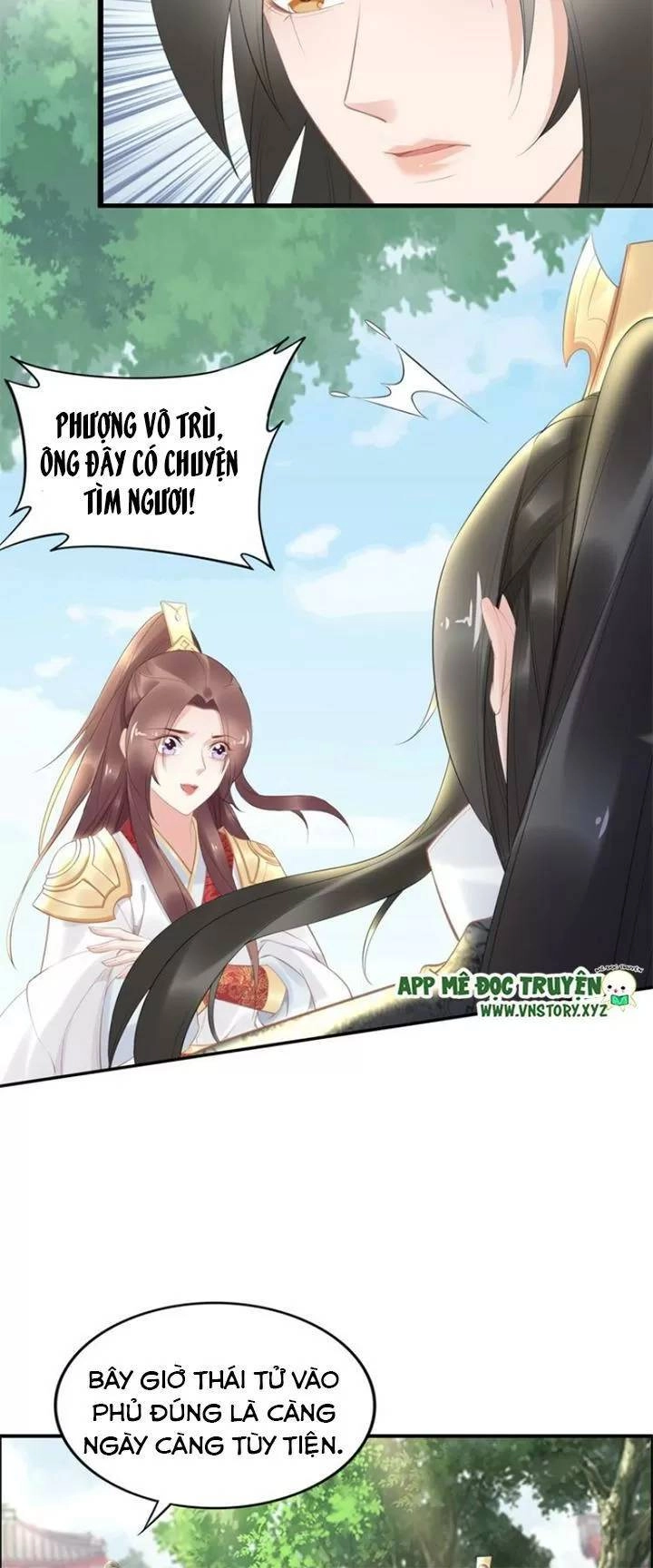 Nhất Sinh Nhất Thế Tiếu Thương Khung Chapter 70 - 15