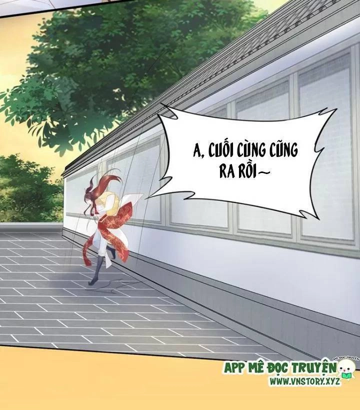 Nhất Sinh Nhất Thế Tiếu Thương Khung Chapter 71 - 36