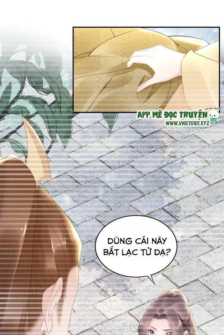 Nhất Sinh Nhất Thế Tiếu Thương Khung Chapter 72 - 23