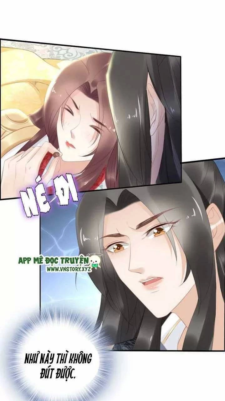 Nhất Sinh Nhất Thế Tiếu Thương Khung Chapter 74 - 16