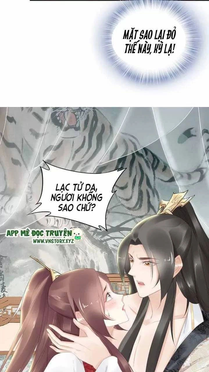 Nhất Sinh Nhất Thế Tiếu Thương Khung Chapter 74 - 26