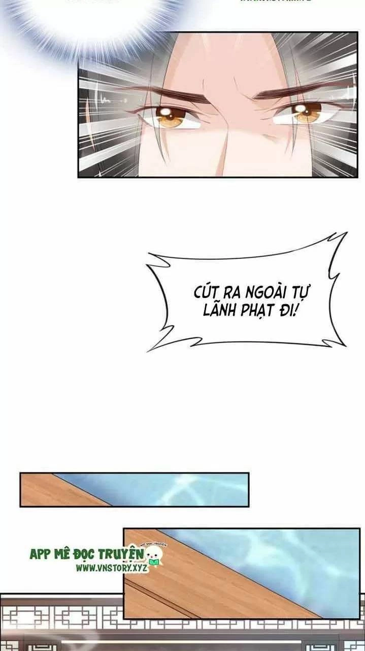 Nhất Sinh Nhất Thế Tiếu Thương Khung Chapter 74 - 29