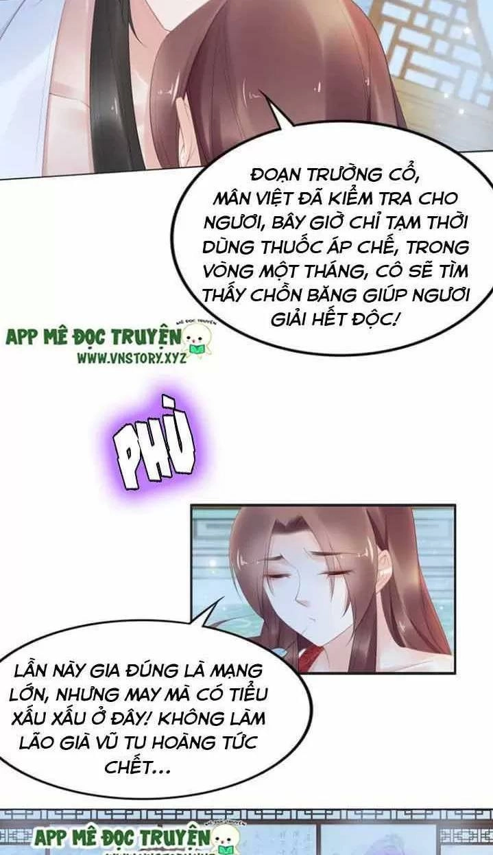 Nhất Sinh Nhất Thế Tiếu Thương Khung Chapter 75 - 10