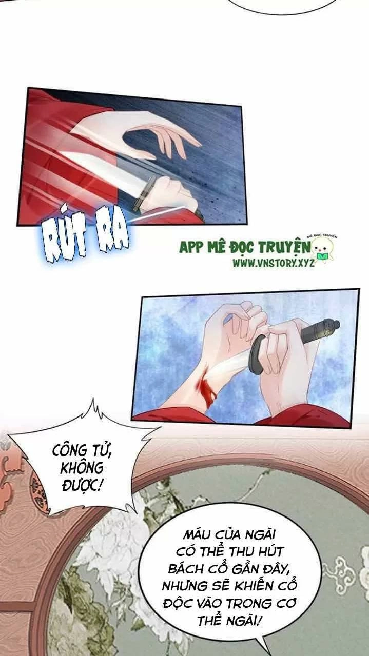 Nhất Sinh Nhất Thế Tiếu Thương Khung Chapter 77 - 6