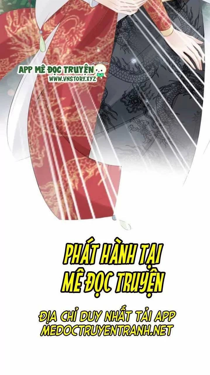 Nhất Sinh Nhất Thế Tiếu Thương Khung Chapter 77 - 37