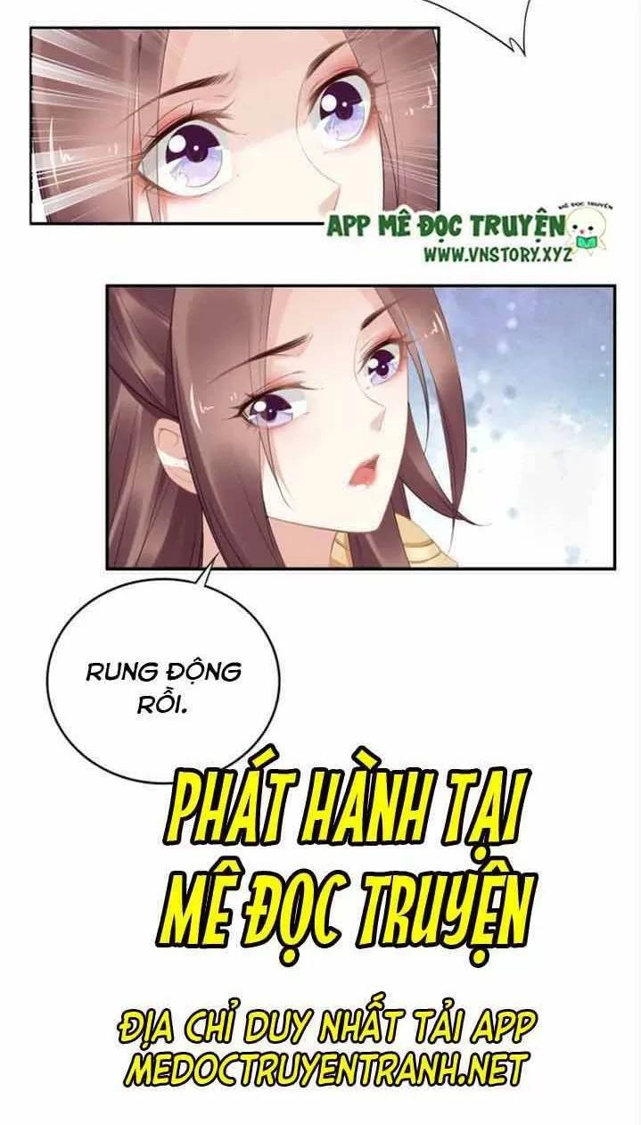 Nhất Sinh Nhất Thế Tiếu Thương Khung Chapter 80 - 36