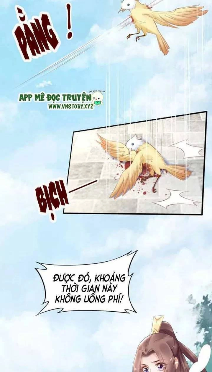 Nhất Sinh Nhất Thế Tiếu Thương Khung Chapter 82 - 33