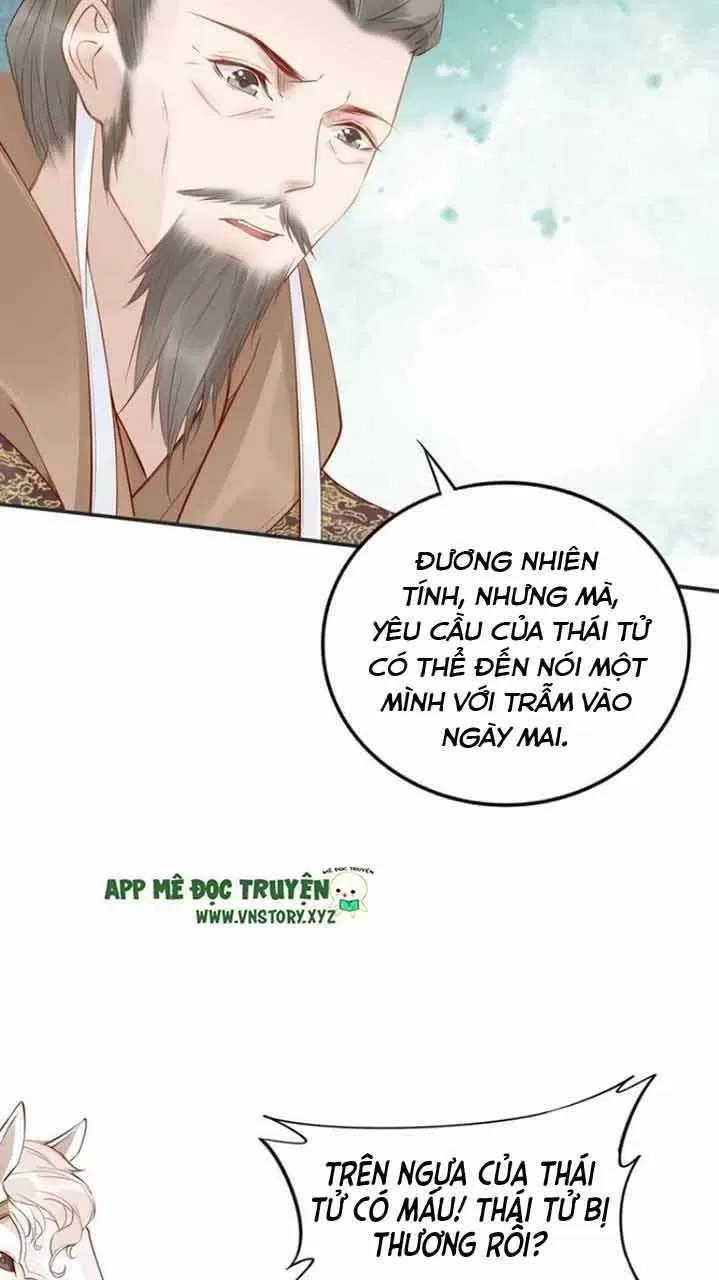 Nhất Sinh Nhất Thế Tiếu Thương Khung Chapter 85 - 4