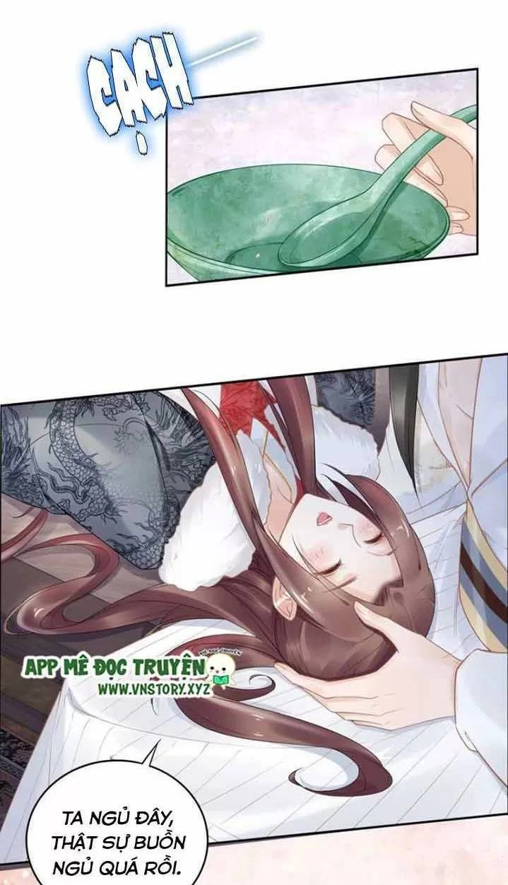 Nhất Sinh Nhất Thế Tiếu Thương Khung Chapter 87 - 24